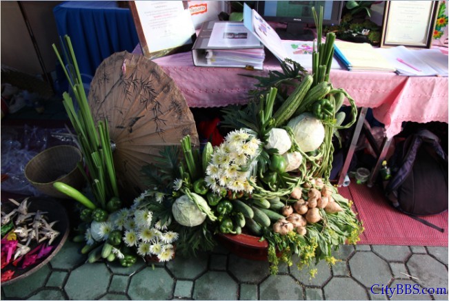 Qingmai_Cultural_Festival_32.jpg