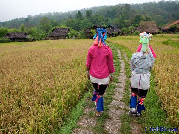 日常生活　　清迈附近的Padaung村庄，两个女孩走在稻田之间。在这里，家庭和土地的联系相当紧密。 ...