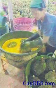 泰国果商把榴梿浸泡在黄色姜黄液体可食用