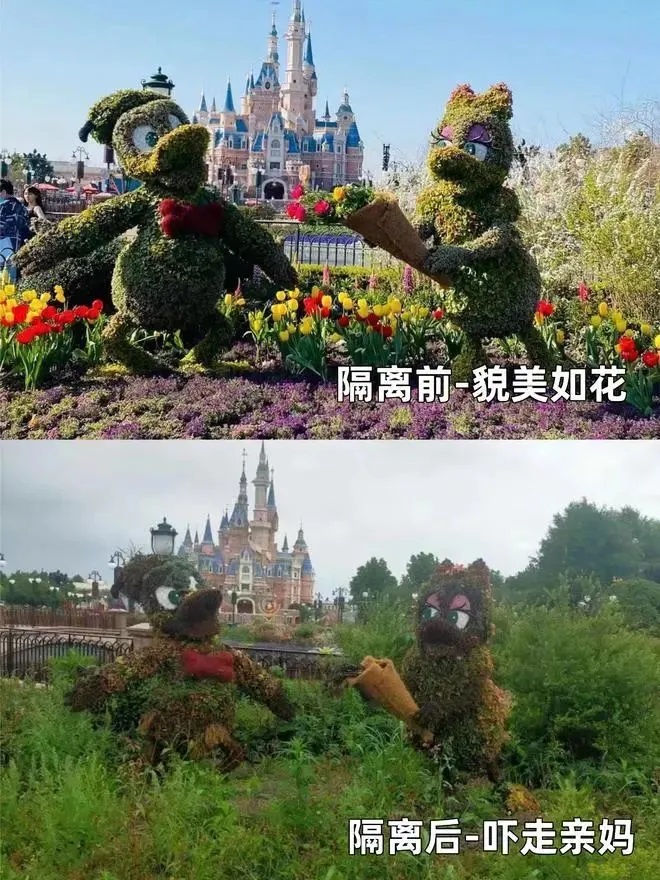 上海迪士尼小镇不复往日繁华