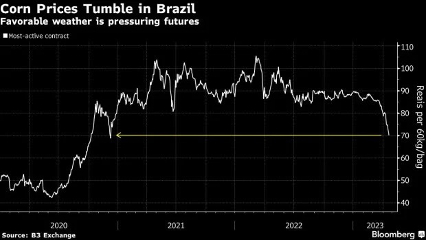巴西玉米价格走势
