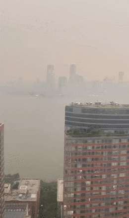 还以为是置身于烟云朦胧的仙境，实则全是毒烟