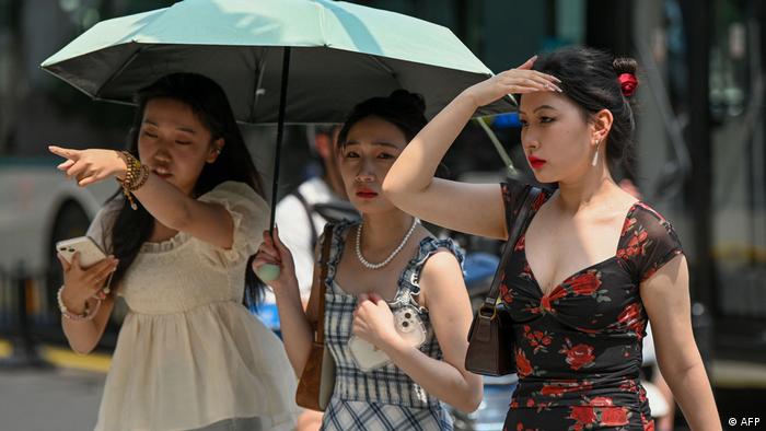 2023年的盛夏来得比往年更早