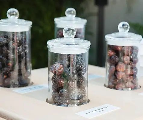 这些枣的棕榈树可以忍受含盐的水