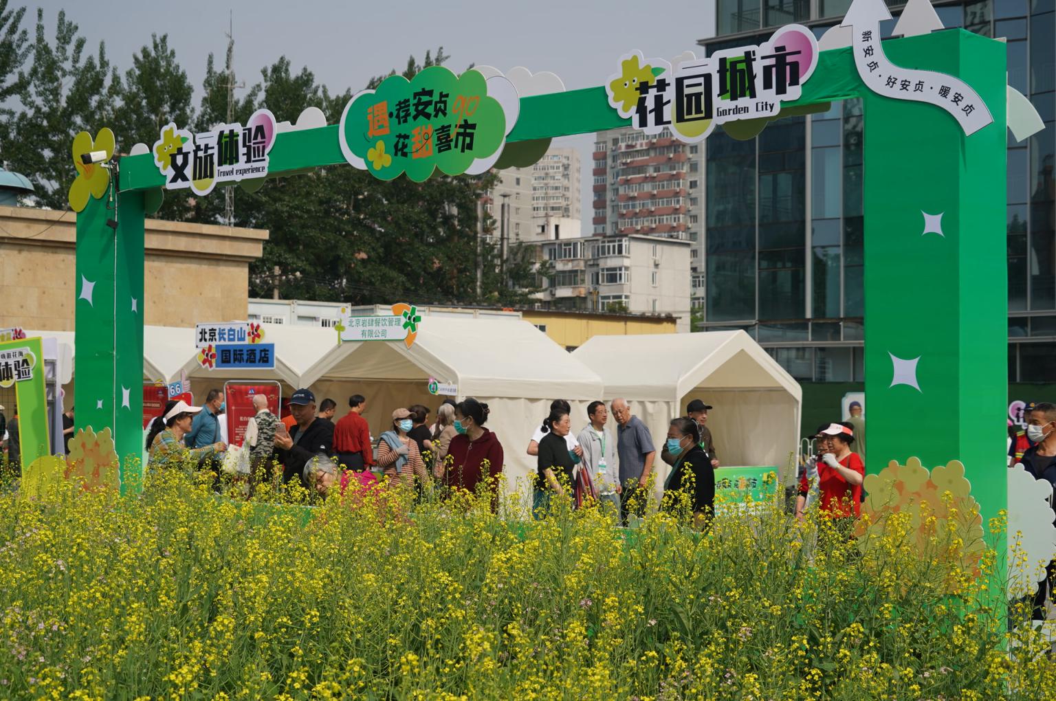 安贞拾光主题广场的油菜花市集