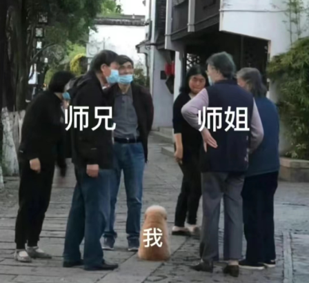 师兄师姐和我